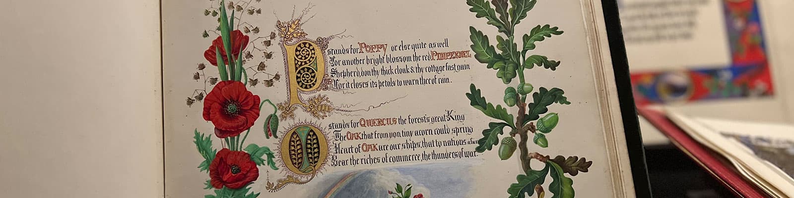 Collections background